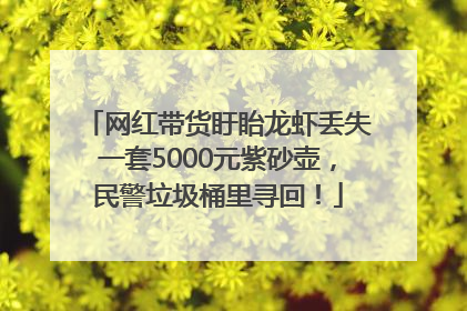 网红带货盱眙龙虾丢失一套5000元紫砂壶，民警垃圾桶里寻回！