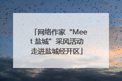 网络作家“Meet 盐城”采风活动走进盐城经开区