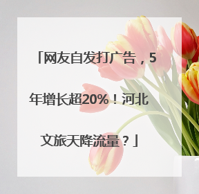 网友自发打广告，5年增长超20%！河北文旅天降流量？