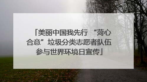美丽中国我先行 “菏心合意”垃圾分类志愿者队伍参与世界环境日宣传