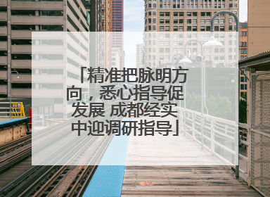 精准把脉明方向，悉心指导促发展 成都经实中迎调研指导