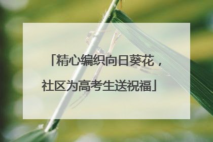 精心编织向日葵花，社区为高考生送祝福