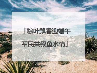 粽叶飘香迎端午 军民共叙鱼水情