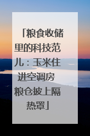粮食收储里的科技范儿：玉米住进空调房 粮仓披上隔热罩
