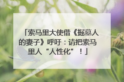 索马里大使借《掘墓人的妻子》呼吁：请把索马里人“人性化”！