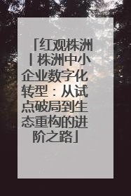 红观株洲丨株洲中小企业数字化转型：从试点破局到生态重构的进阶之路