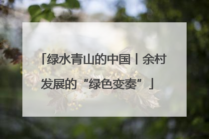绿水青山的中国丨余村发展的“绿色变奏”