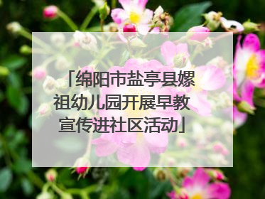 绵阳市盐亭县嫘祖幼儿园开展早教宣传进社区活动