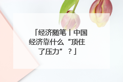 经济随笔丨中国经济靠什么“顶住了压力”？