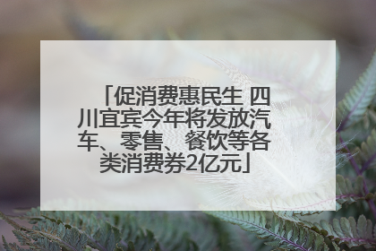 促消费惠民生 四川宜宾今年将发放汽车、零售、餐饮等各类消费券2亿元