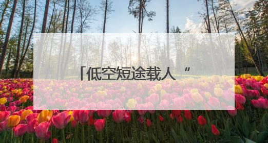 低空短途载人“热”出新花样！这个端午假期有人“包机”求婚，有人空中看龙舟赛