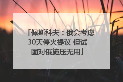 佩斯科夫：俄会考虑30天停火提议 但试图对俄施压无用