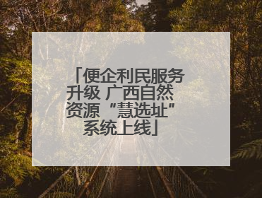 便企利民服务升级 广西自然资源“慧选址”系统上线