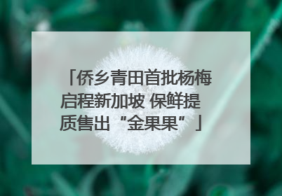 侨乡青田首批杨梅启程新加坡 保鲜提质售出“金果果”