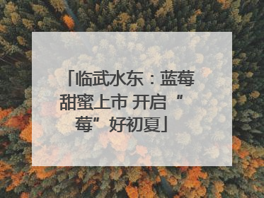 临武水东：蓝莓甜蜜上市 开启“莓”好初夏