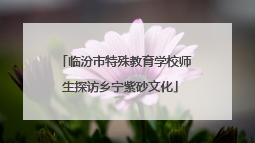 临汾市特殊教育学校师生探访乡宁紫砂文化