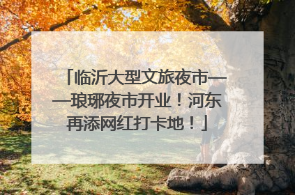 临沂大型文旅夜市——琅琊夜市开业！河东再添网红打卡地！