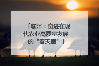 临泽：奋进在现代农业高质量发展的“春天里”
