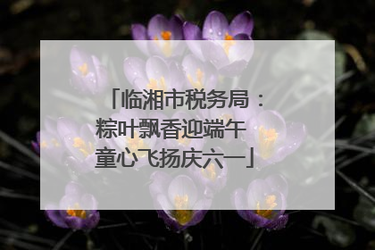 临湘市税务局：粽叶飘香迎端午 童心飞扬庆六一