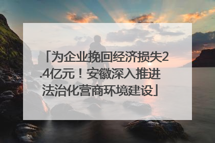 为企业挽回经济损失2.4亿元！安徽深入推进法治化营商环境建设