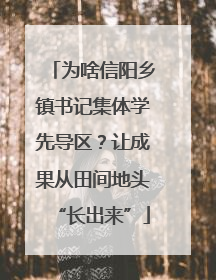 为啥信阳乡镇书记集体学先导区？让成果从田间地头“长出来”