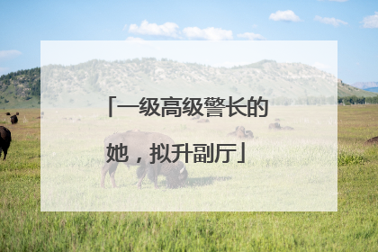 一级高级警长的她，拟升副厅