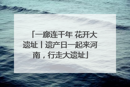 一廊连千年 花开大遗址丨遗产日一起来河南，行走大遗址