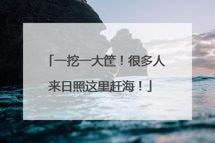 一挖一大筐！很多人来日照这里赶海！