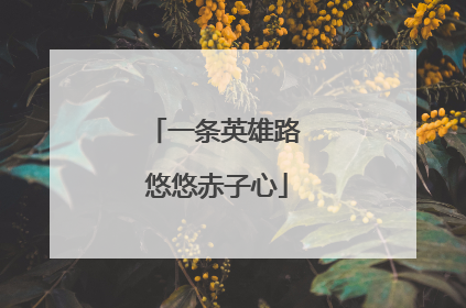 一条英雄路 悠悠赤子心