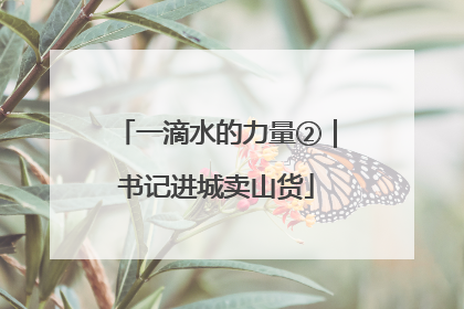 一滴水的力量②｜书记进城卖山货