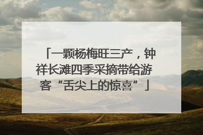 一颗杨梅旺三产，钟祥长滩四季采摘带给游客“舌尖上的惊喜”