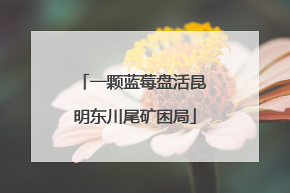 一颗蓝莓盘活昆明东川尾矿困局