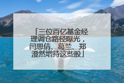 三位百亿基金经理调仓路径曝光，闫思倩、葛兰、郑澄然增持这些股