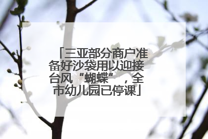 三亚部分商户准备好沙袋用以迎接台风“蝴蝶”，全市幼儿园已停课