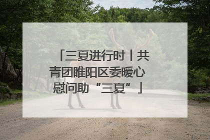 三夏进行时丨共青团睢阳区委暖心慰问助“三夏”