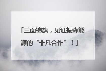 三面锦旗，见证振森能源的“非凡合作”！