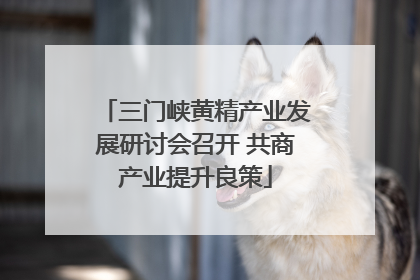 三门峡黄精产业发展研讨会召开 共商产业提升良策