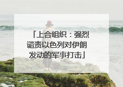 上合组织：强烈谴责以色列对伊朗发动的军事打击
