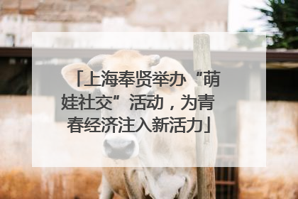 上海奉贤举办“萌娃社交”活动，为青春经济注入新活力