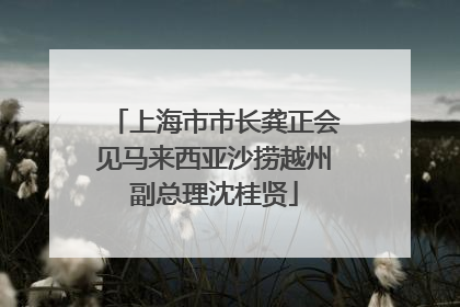 上海市市长龚正会见马来西亚沙捞越州副总理沈桂贤