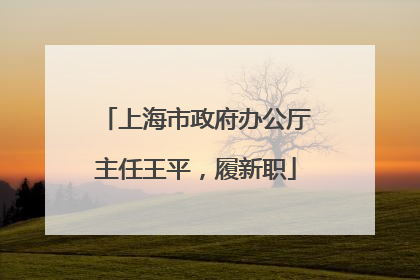 上海市政府办公厅主任王平，履新职