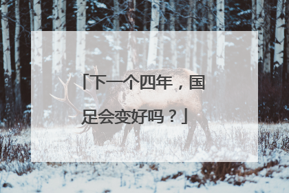 下一个四年，国足会变好吗？