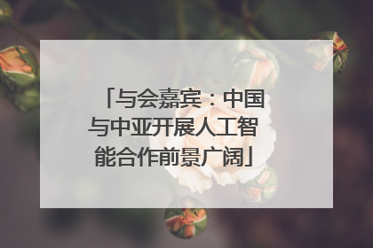 与会嘉宾：中国与中亚开展人工智能合作前景广阔