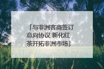 与非洲客商签订意向协议 新化红茶开拓非洲市场