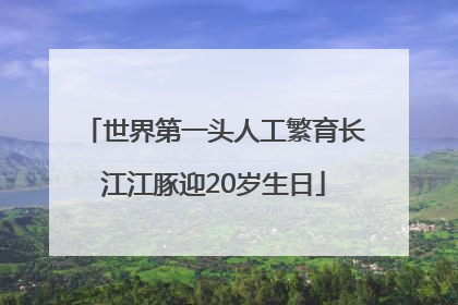 世界第一头人工繁育长江江豚迎20岁生日
