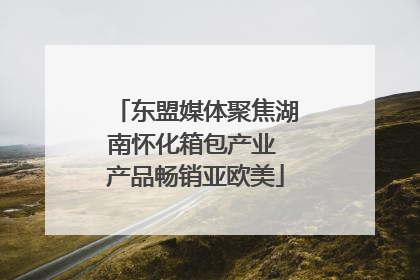 东盟媒体聚焦湖南怀化箱包产业 产品畅销亚欧美