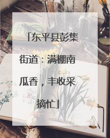 东平县彭集街道：满棚南瓜香，丰收采摘忙