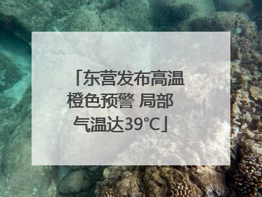 东营发布高温橙色预警 局部气温达39℃