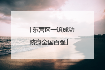 东营区一镇成功跻身全国百强