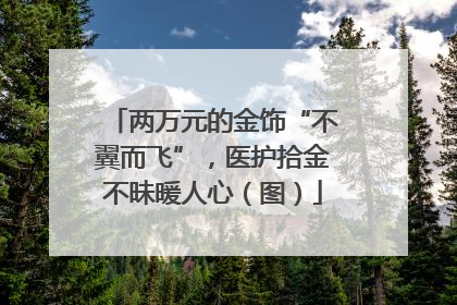 两万元的金饰“不翼而飞”，医护拾金不昧暖人心（图）